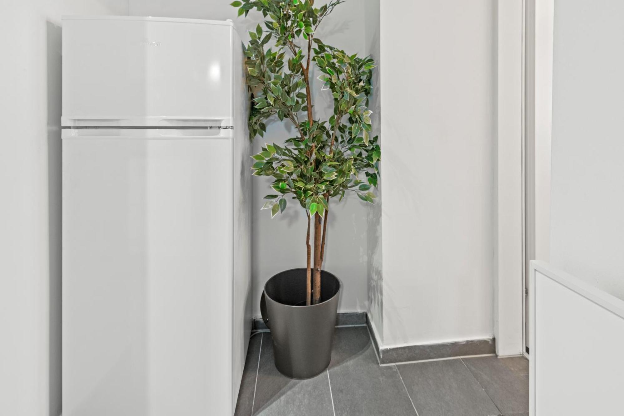 Designer Apartment, Central, Next To Danube Wiedeń Zewnętrze zdjęcie